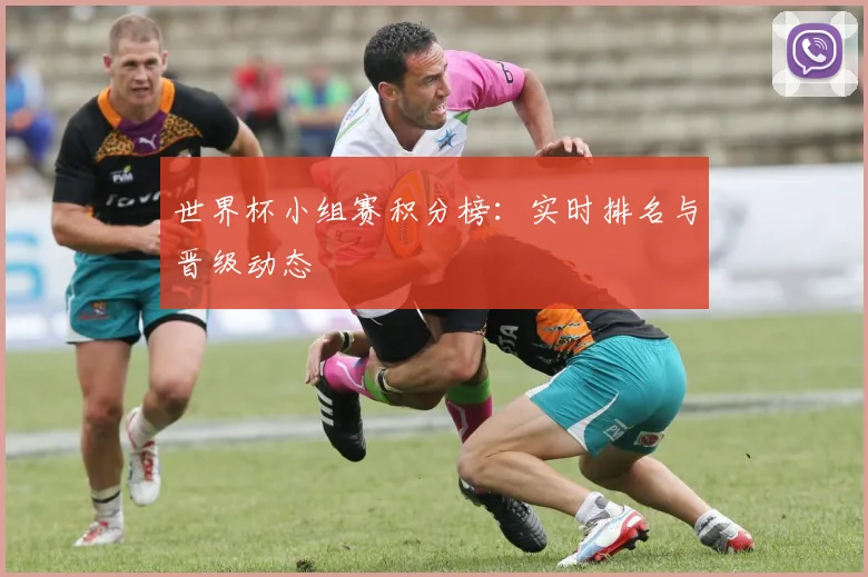 世界杯小组赛积分榜：实时排名与晋级动态