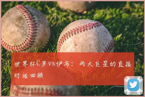 世界杯C罗vs伊布：两大巨星的直接对话回顾
