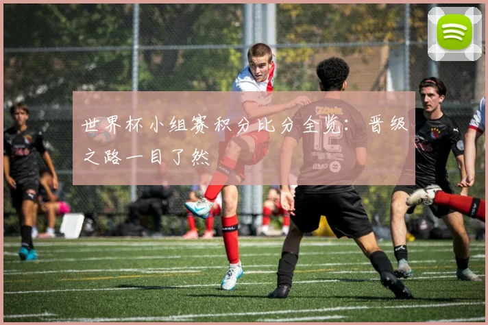 世界杯小组赛积分比分全览：晋级之路一目了然