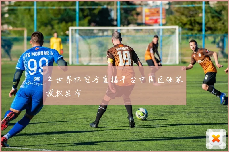 年世界杯官方直播平台中国区独家授权发布